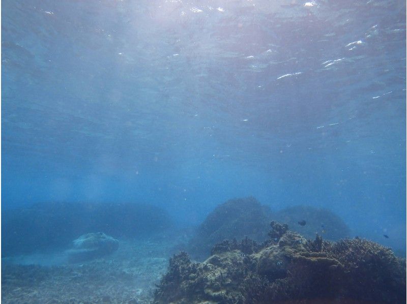 BLUE ALOHA宮古島 のギャラリー