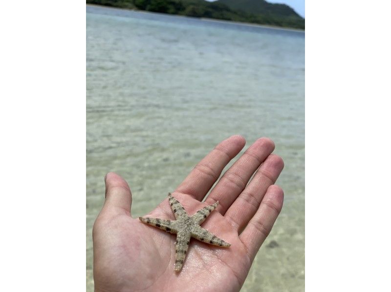 石垣島 海ツアー のギャラリー