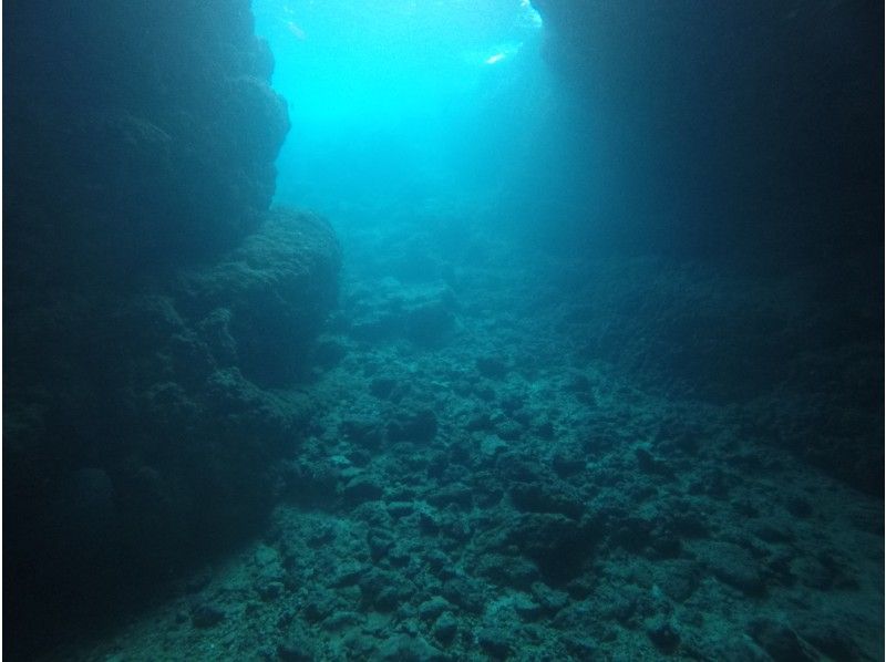 武藤潜水 のギャラリー