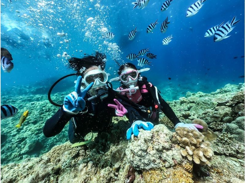 ダイビングショップめんそーれ(Okinawa diving mensore) のギャラリー