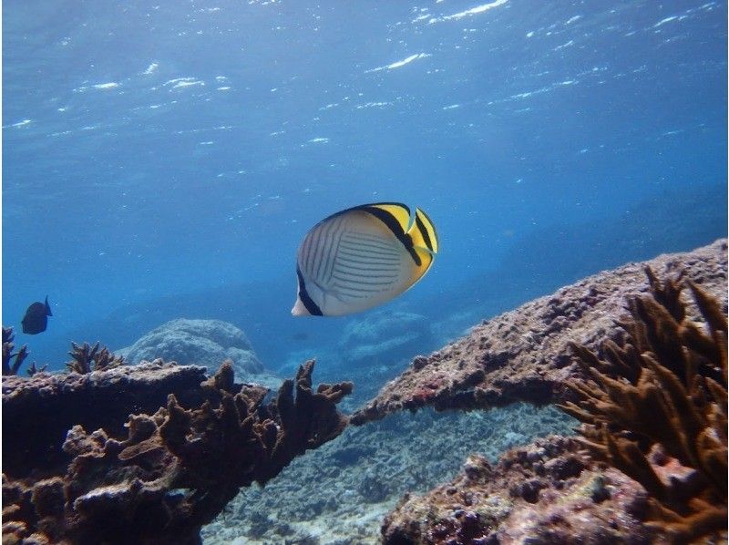 BLUE ALOHA宮古島 のギャラリー