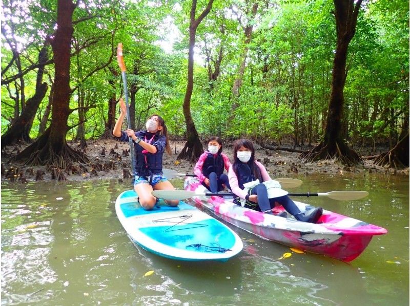 石垣島  ADVENTURE PiPi（ピピ） のギャラリー