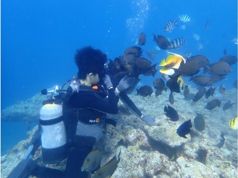 沖縄ダイビング20(Diving20) のギャラリー