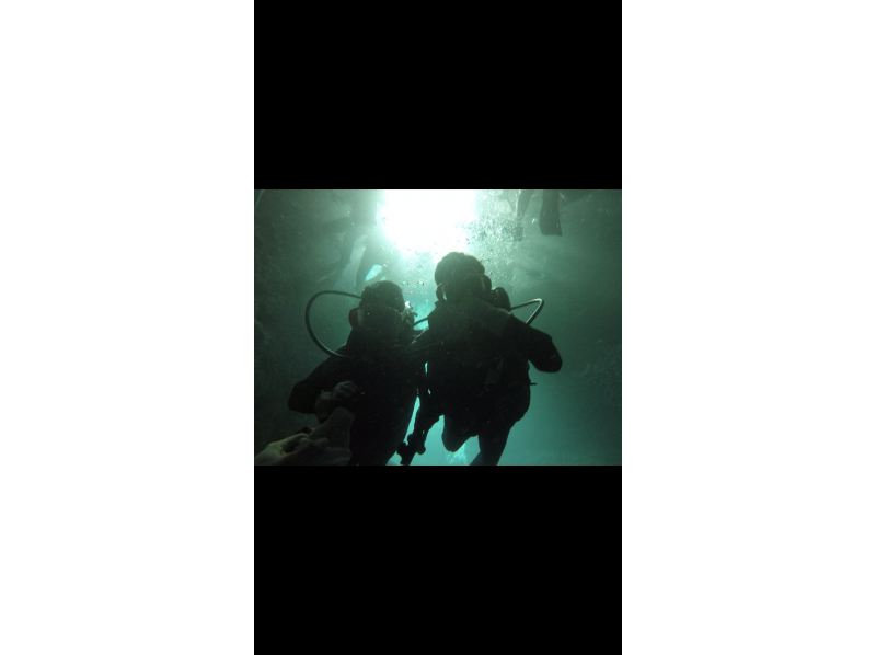 武藤潜水 のギャラリー