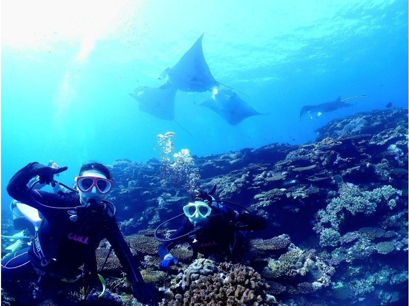 海遊びネジ のギャラリー