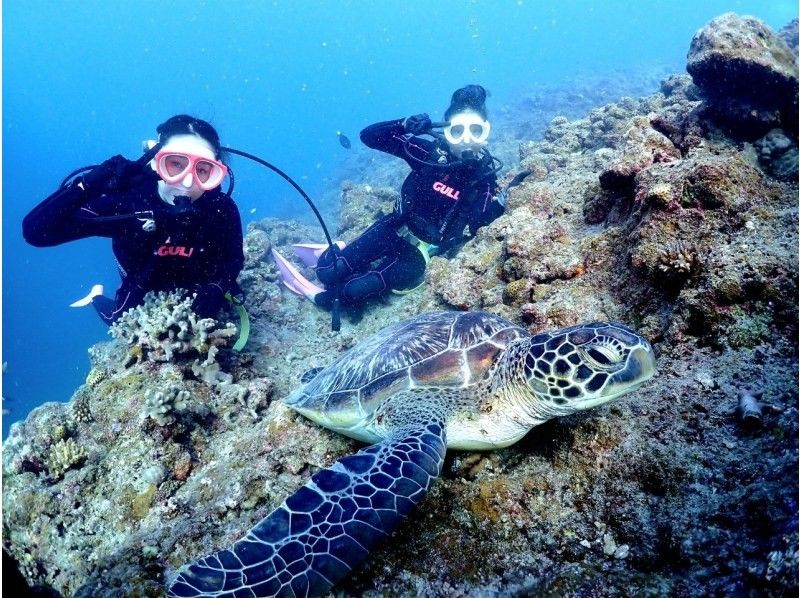 海遊びネジ のギャラリー