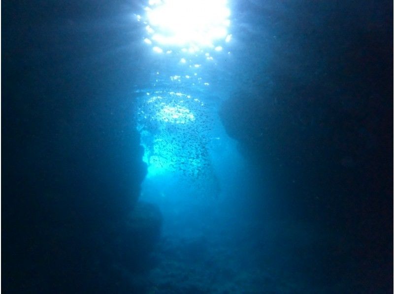 ダイビングショップめんそーれ(Okinawa diving mensore) のギャラリー