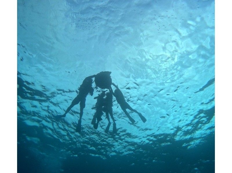 diving＆workshop IHANASHI のギャラリー