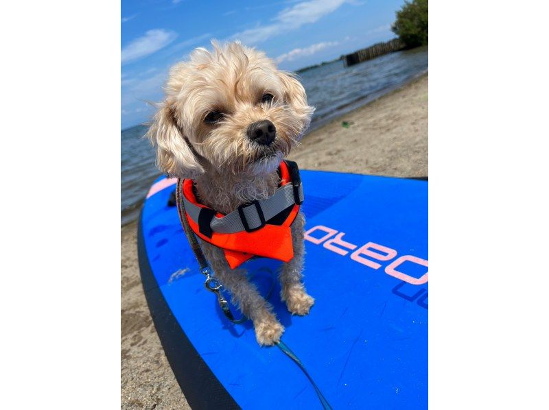 プカプカ(PukaPuka) Reservations・Access・Operating hours