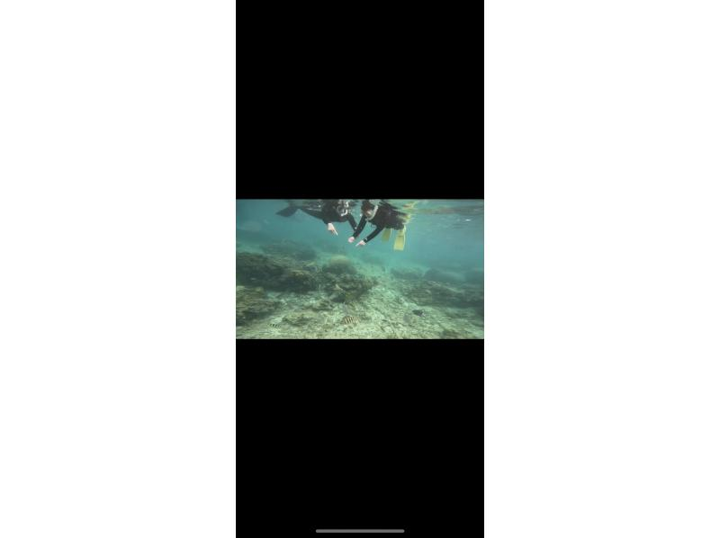 Kanoa Dive (カノアダイブ) のギャラリー