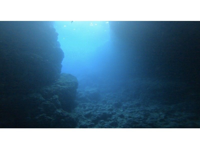 青の洞窟専門 沖縄ダイビングショップ和 のギャラリー