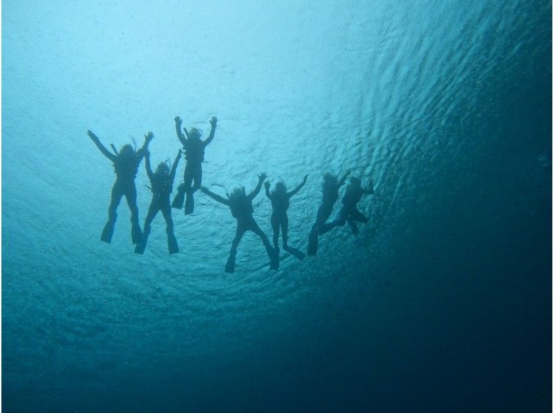 青の洞窟と沖縄ダイビングのVoicePlus のギャラリー