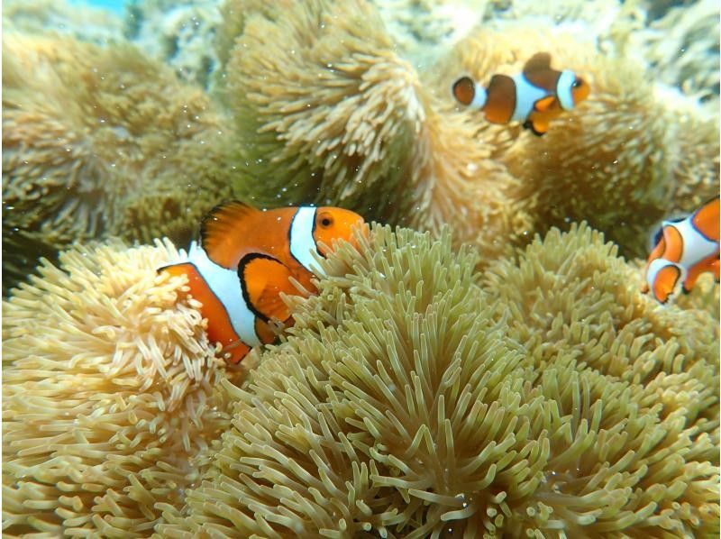 タビワク 宮古島 のギャラリー