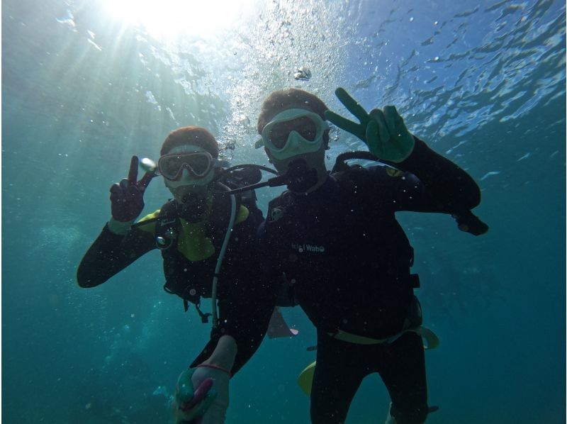 ダイビングショップめんそーれ(Okinawa diving mensore) のギャラリー