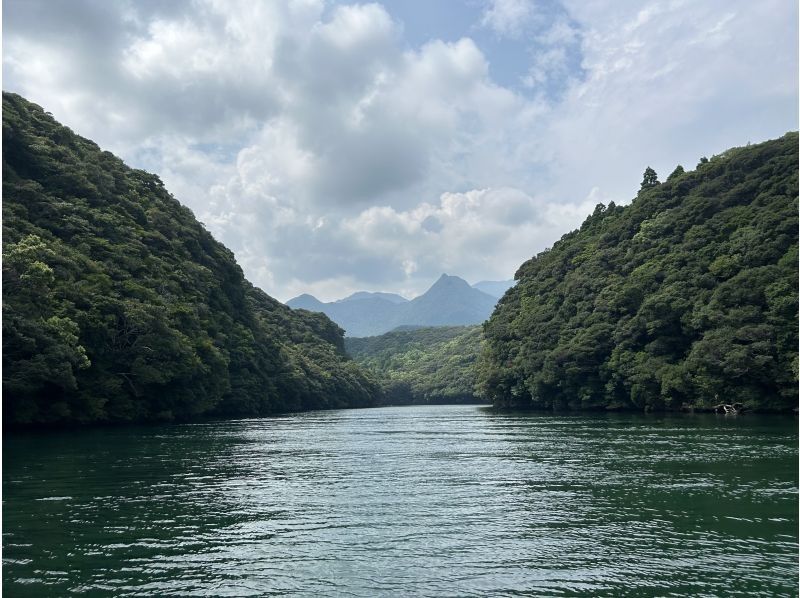 屋久島フィールドガイド スピニカ(YAKUSHIMA FIELD GUIDE SUPINIKA) のギャラリー