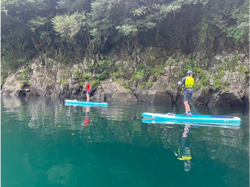 屋久島ガイドツアー(Yakushima guide tour) のギャラリー