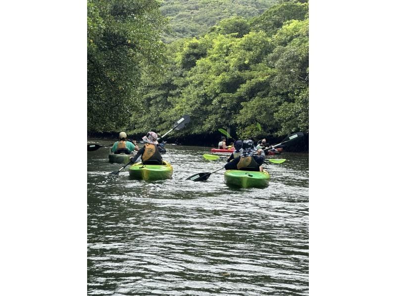 西表おさんぽ気分(Iriomote Kayak Tour) のギャラリー