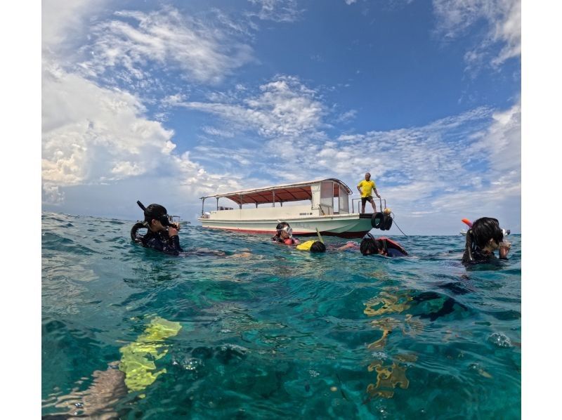 西表おさんぽ気分(Iriomote Kayak Tour) のギャラリー