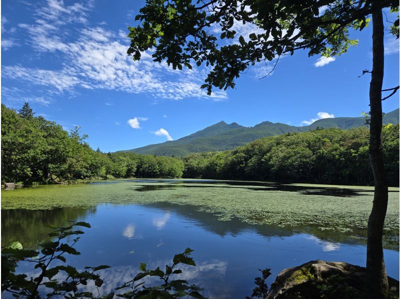 知床ネイチャーオフィス(Shiretoko Nature Office) のギャラリー