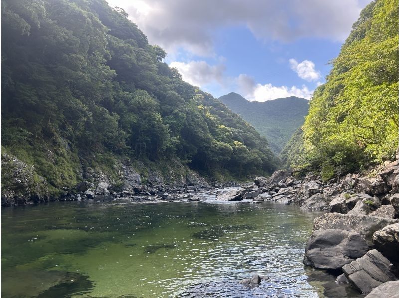 屋久島フィールドガイド スピニカ(YAKUSHIMA FIELD GUIDE SUPINIKA) のギャラリー