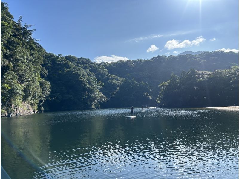 屋久島フィールドガイド スピニカ(YAKUSHIMA FIELD GUIDE SUPINIKA) のギャラリー