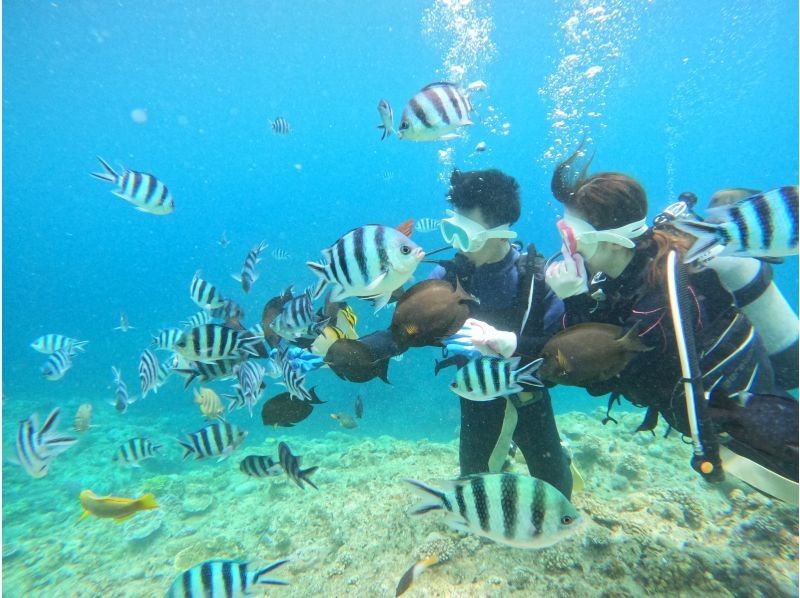 ダイビングショップめんそーれ(Okinawa diving mensore) のギャラリー