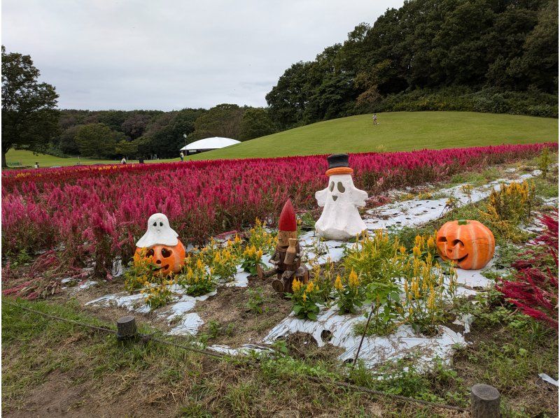 武蔵丘陵森林公園セグウェイツアー（セグウェイジャパン） のギャラリー