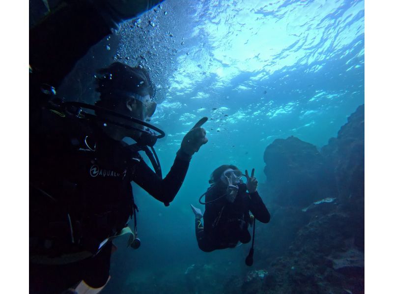 Diving Shop Lei のギャラリー