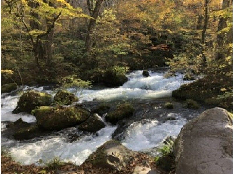 aomori walkingtour by Az&n のギャラリー