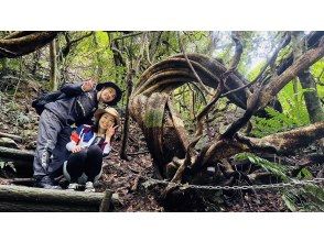 【鹿児島・奄美大島人気ツアー】ジャックと豆の木と滝とマングローブカヌーツアー★貸切可★