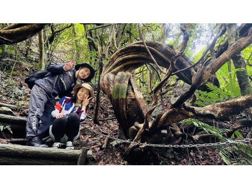 [Kagoshima / Amami Oshima Popular Tour] Jack and the Beanstalk, Waterfall and Mangrove Canoe Tour ★ Charterable ★の画像