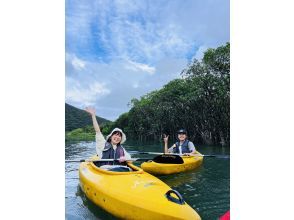 [Kagoshima / Amami Oshima Popular Tour] Jack and the Beanstalk, Waterfall and Mangrove Canoe Tour ★ Charterable ★