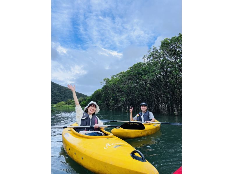 【鹿児島・奄美大島人気ツアー】ジャックと豆の木と滝とマングローブカヌーツアー★貸切可★の紹介画像