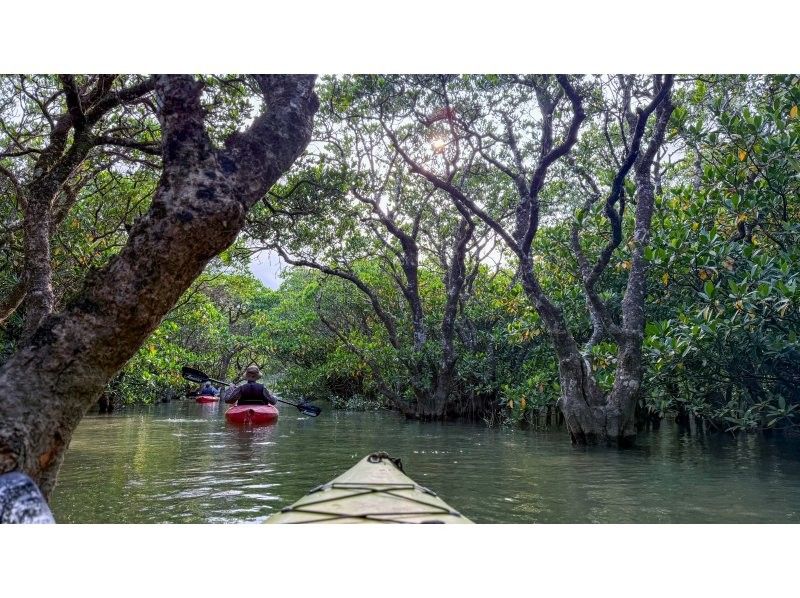【北海道・SUP体験】透明度の高い支笏湖の湖面をクルージング！SUP体験（半日コース）の画像