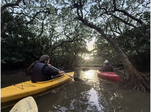 [Kagoshima / Amami Oshima] Sunset Mangrove Canoe Tour ★ Charterable ★の画像