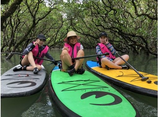 [Popular tour in Kagoshima and Amami Oshima] "Super Summer Sale 2024" Relaxing mangrove tour on SUP ★Private tour available★の画像