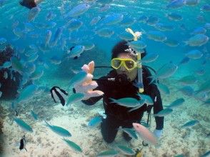 【沖縄・宮古島】美しい水中世界へご案内！ 体験ダイビングコース（ビーチダイブ）の画像