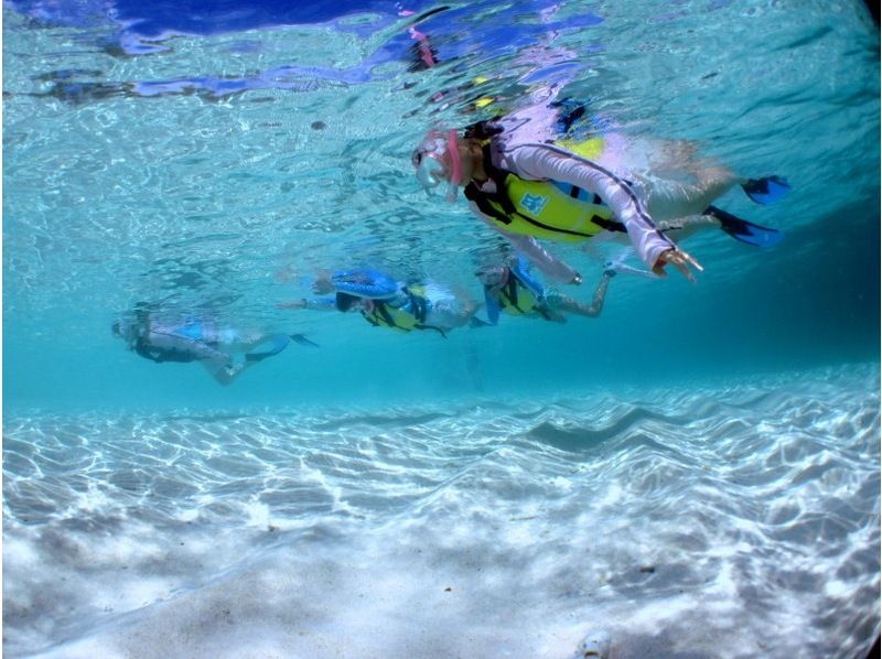 [Okinawa ・ Miyakojima Anemonefish & coral watching (beach snorkel course)の紹介画像