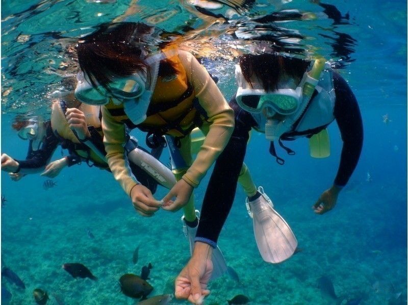 【沖縄・青の洞窟】五つ星レビュー多数★熱帯魚満喫シュノーケル★写真・動画その場でスマホにプレゼント♪