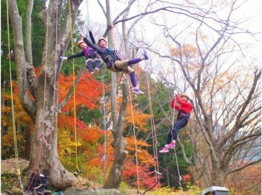 モンキーマウンテン(Monkey Mountain)