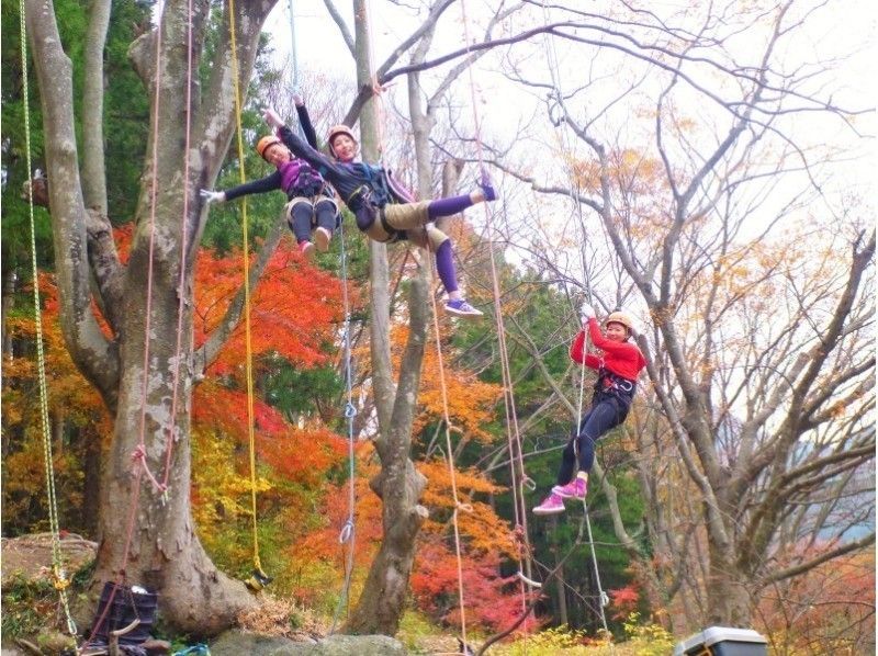 樹上満喫　木のぼりツアー