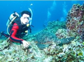 [Okinawa-Urasoe] From September Dec. Limited time! Tonakijima expedition fan Diving