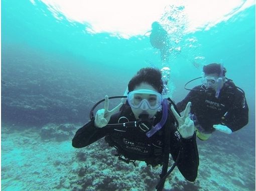 [Okinawa Prefecture, Kunigami-gun] Experience around Sesoko Island Diving 【Boat entry】の画像