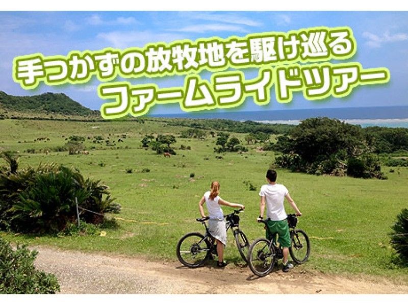 【沖縄・石垣島】手つかずの放牧地をMTBで巡る!ファームライド半日ツアー(初心者一般向け)