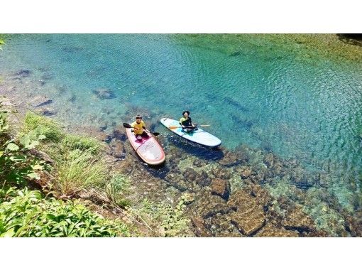 [Tokushima/Mugi] [0 years old and up/pets allowed] Recommended for beginners and families! SUP (Stand Up Paddle) experienceの画像