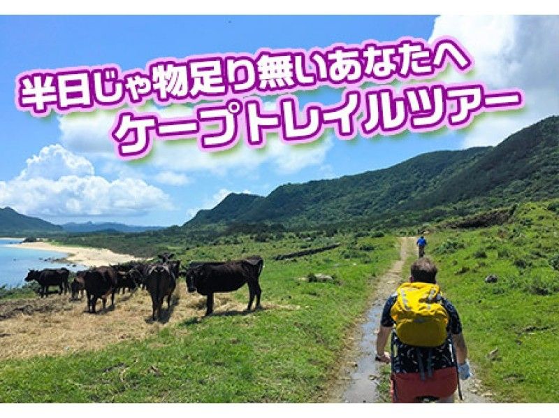 【沖縄・石垣島】半日じゃ物足りないあなたへ!MTBケープトレイル1日ツアー