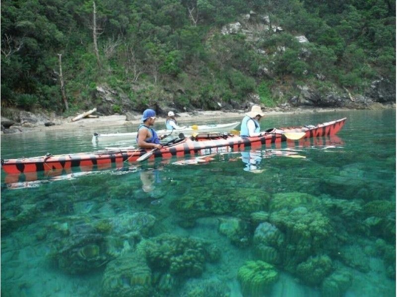 ★ Chartable ★ 【Kagoshima · Amami Oshima】 Heartwarming canoe 1day tour introduction image