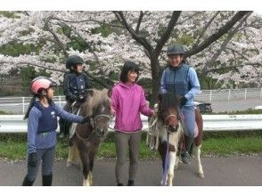 馬術農場