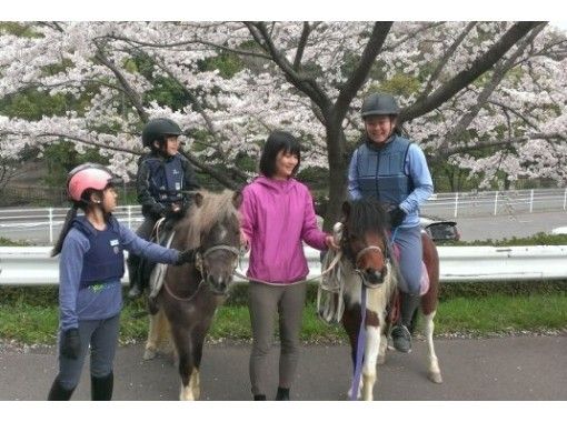 【 神奈川 ·相模原/相模高】让我们见一匹马吧！ 骑马徒步儿童课程 （小学生）の画像