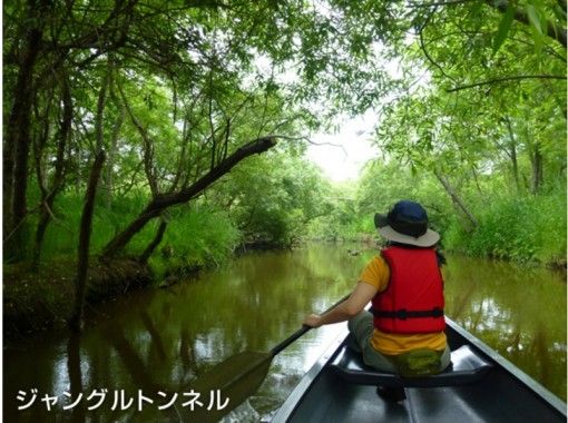 【北海道・釧路】一番人気！カヌー釧路湿原満喫コースの画像